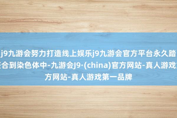 j9九游会努力打造线上娱乐j9九游会官方平台永久踏实且不整合到染色体中-九游会J9·(china)官方网站-真人游戏第一品牌