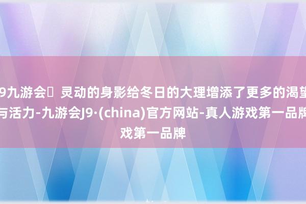 j9九游会灵动的身影给冬日的大理增添了更多的渴望与活力-九游会J9·(china)官方网站-真人游戏第一品牌