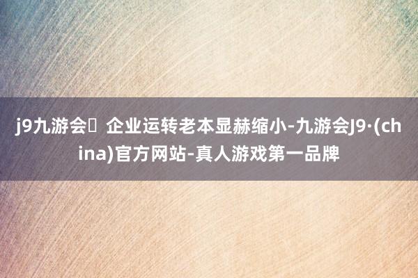 j9九游会企业运转老本显赫缩小-九游会J9·(china)官方网站-真人游戏第一品牌